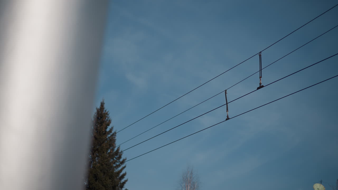 sky view shows electric wires stretched across street while trucks move below, winter tree crowns background, blue sky and utility lines create urban transit mood, motion captured from roadside angle