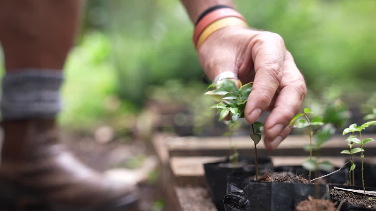 A close-up of a man's hand gently touching and inspecting a plant