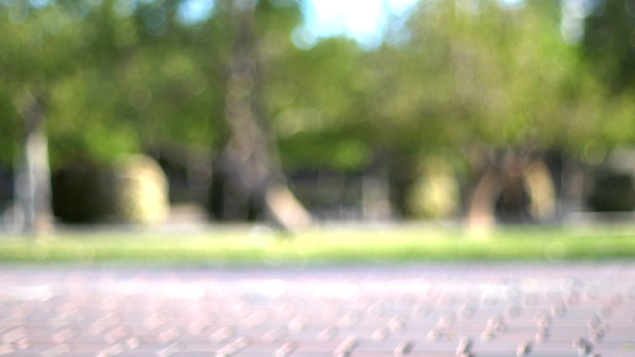 루프 보케 배경 도시 공원 흐릿함