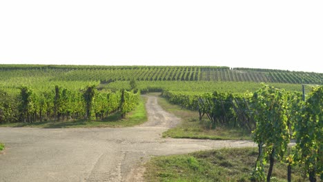 Cruce-De-Caminos-En-Las-Afueras-De-Hunawihr,-En-El-Este-De-Francia