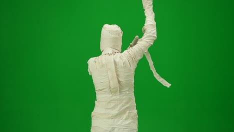 green screen isolated chroma key video capturing a mummy dancing and singing actively into the - green screen isolated chroma key video capturing a mummy dancing and singing actively into the microphone. haloween holidays. mock up, workspace for your promotion clip or advertisement