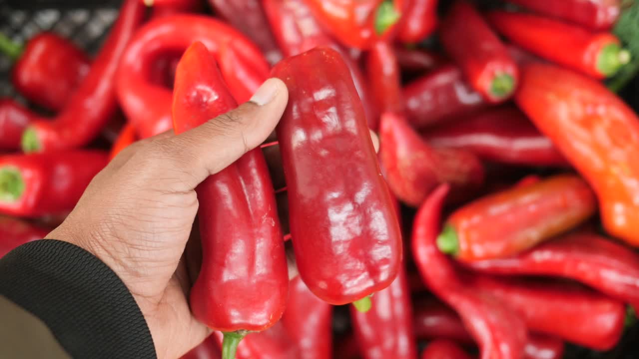 Hand holding red bell peppers