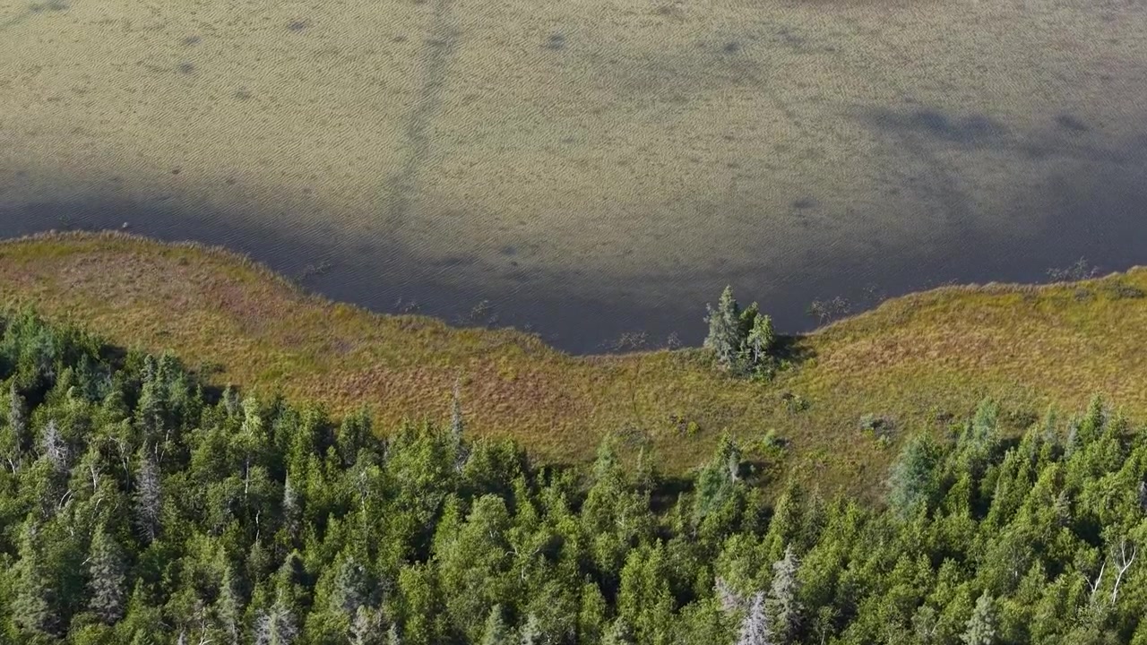 Luftfoto av et villmarksområde med skogkant og rolig vann nær Hessel, Michigan.