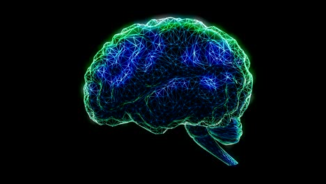 animation of a polygonal brain rotating in loop.