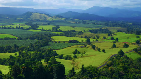 Paisaje-Natural-Escénico-Con-Campos-Verdes-Y-Vegetación-Exuberante-En-Las-Mesetas-De-Atherton,-Queensland,-Australia---Toma-Aérea-De-Drones