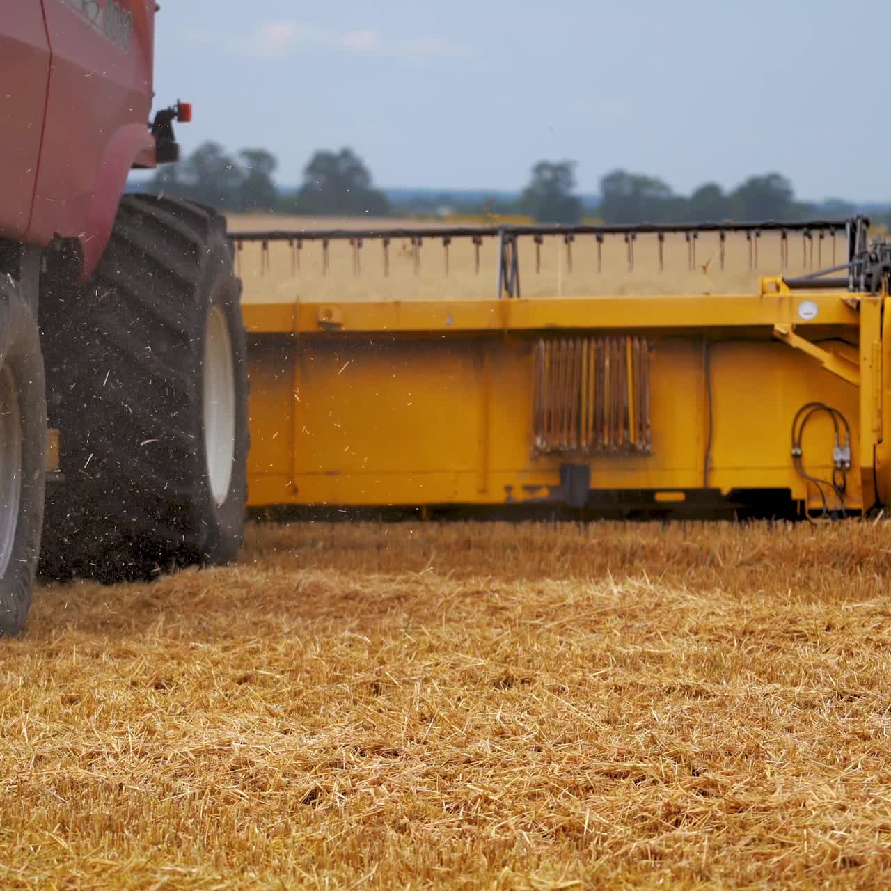 Agriculture machine harvesting crop in fields. Special technic in action. Agricultural technic in field. Heavy machinery, blue sky above field