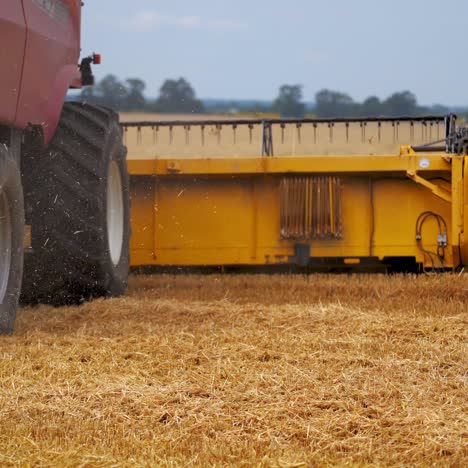 agriculture machine harvesting crop in fields. special technic in action. agricultural technic in field. heavy machinery, blue sky above field