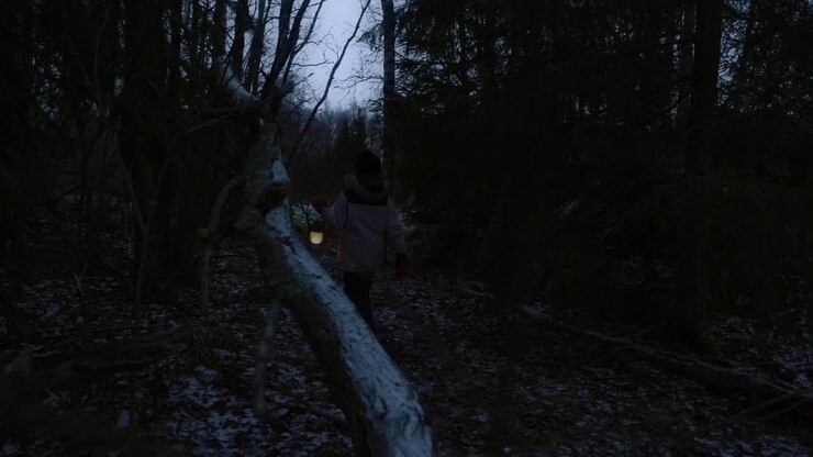 Young girl with lantern walking alone in dark forest at night. Cinematic shot