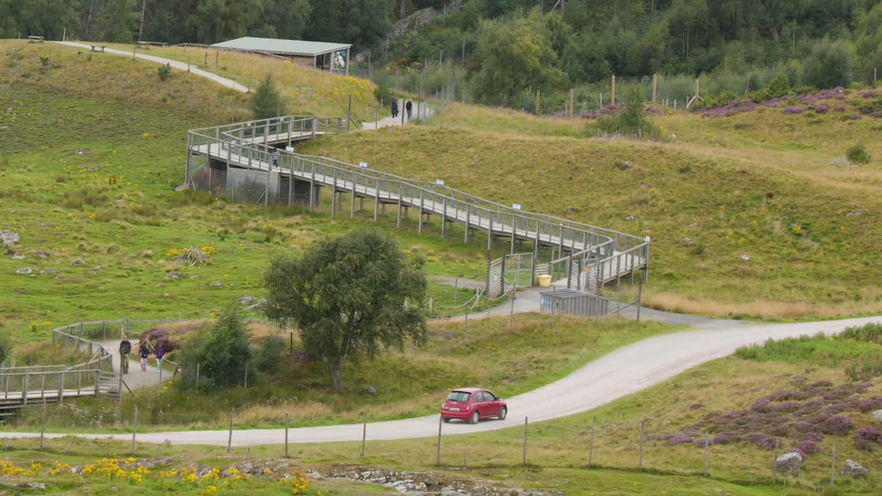 Red car travels along winding road by footbridge, grassy hills, and trees under overcast daylight
