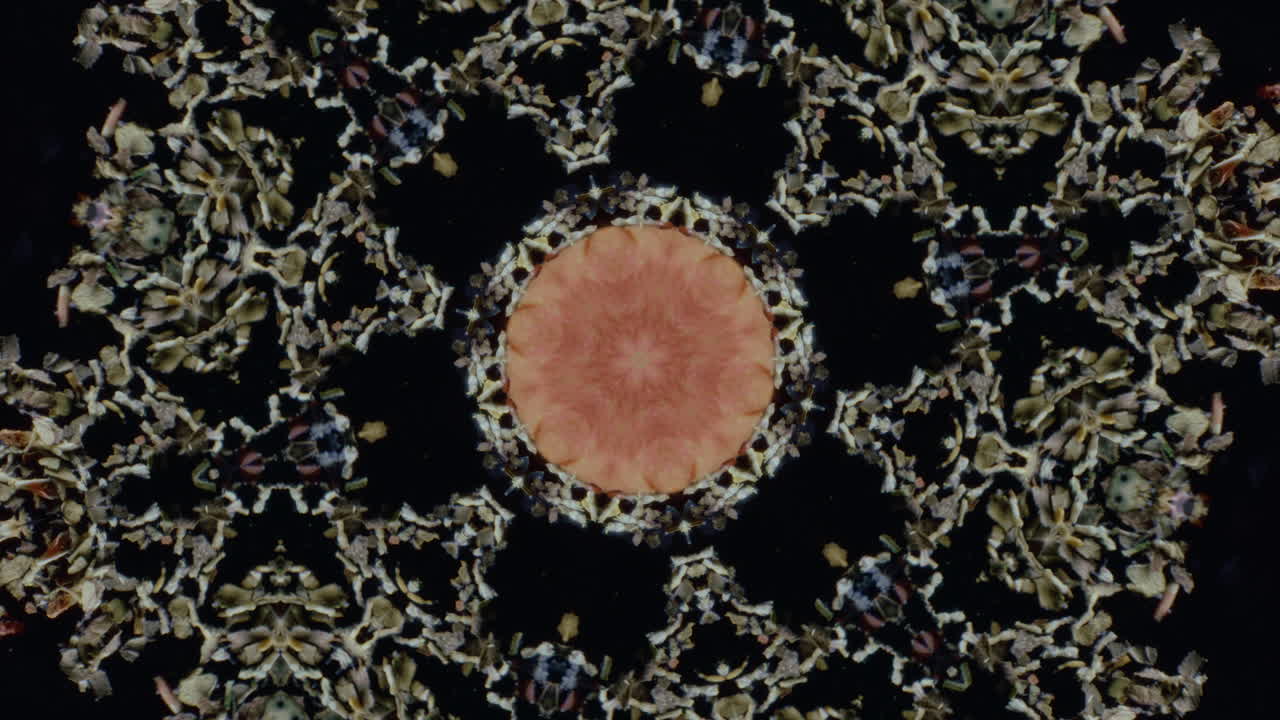 Abstract Kaleidoscope Pattern with Dried Herbs