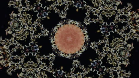 Abstract Kaleidoscope Pattern with Dried Herbs