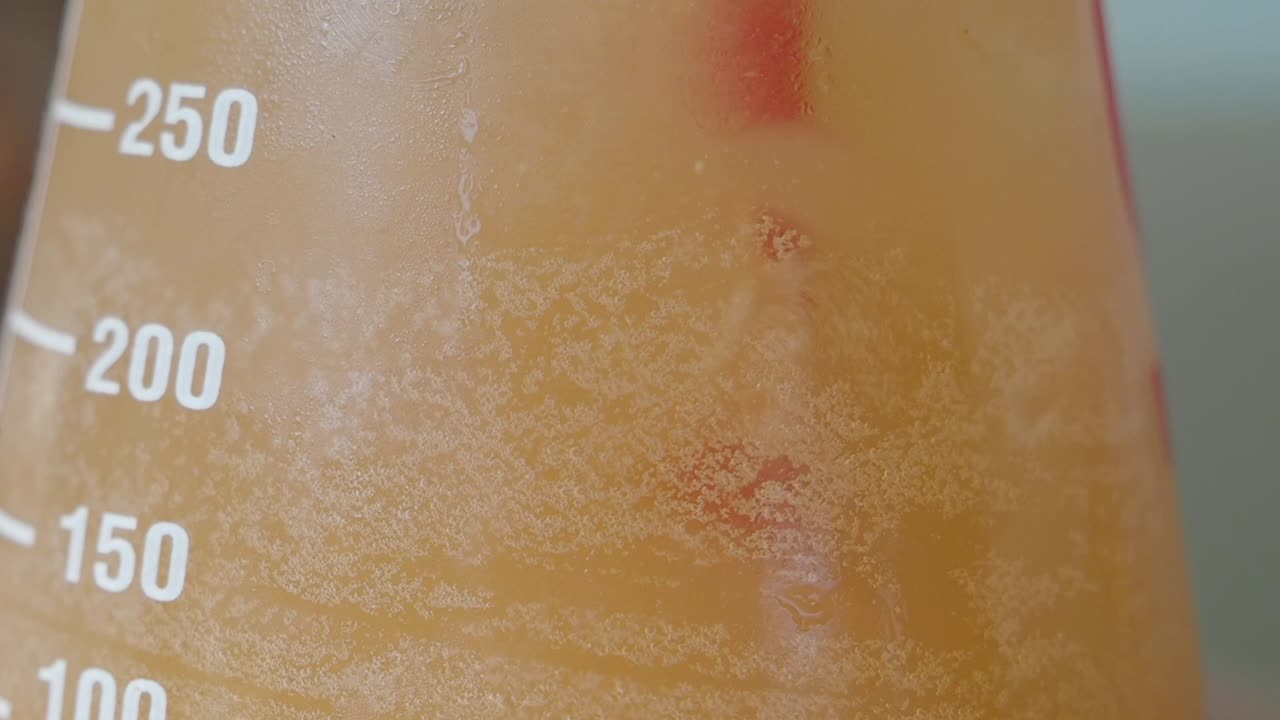 Fermentation in a Glass Beaker