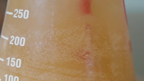 fermentation in a glass beaker