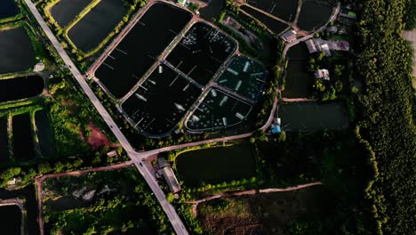 arial view of shrimp farm and fishing farm