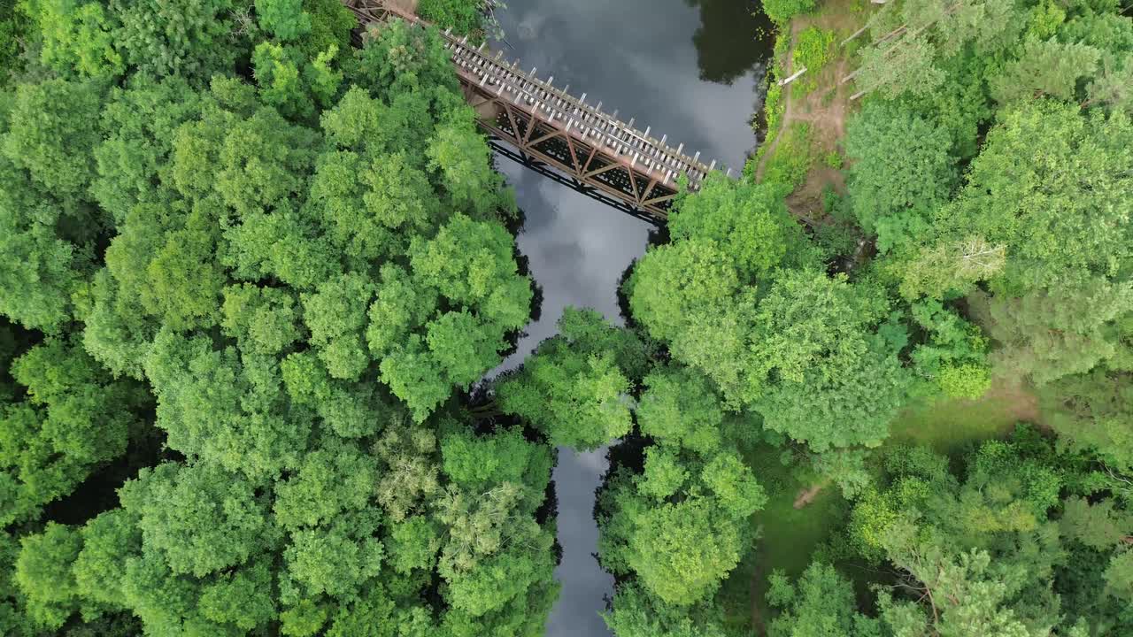 embarcarse en un viaje visual a través del paisaje forestal, observando un viejo puente ferroviario en mal estado sobre el río de abajo, capturado desde una vista de pájaro