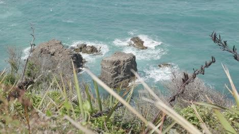 detail view of rock formations in the ocean at nugget point in new zealand on a sunny day