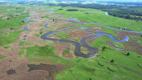 Campos-Verdes-Atravesados-Por-Un-Río-Sinuoso-Salvaje,-Polonia