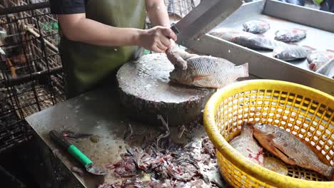 sequential frames showing fish being descaled by hand.