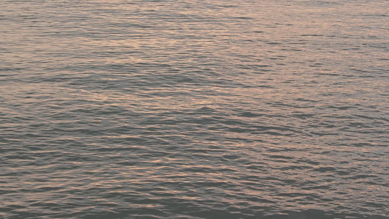 바물 의 근접적 인 모습