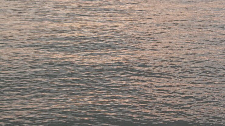 Gros plan sur l'eau de mer