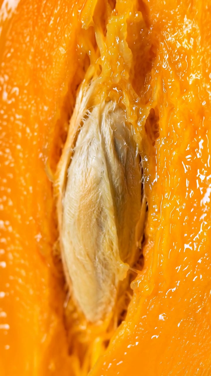 Lenta carrellata su un mango aperto che si concentra sul suo seme pallido e fibroso, mentre la polpa succosa e arancione luccica sotto una luce intensa, mostrando superfici lisce, fibre filamentose e una consistenza fresca