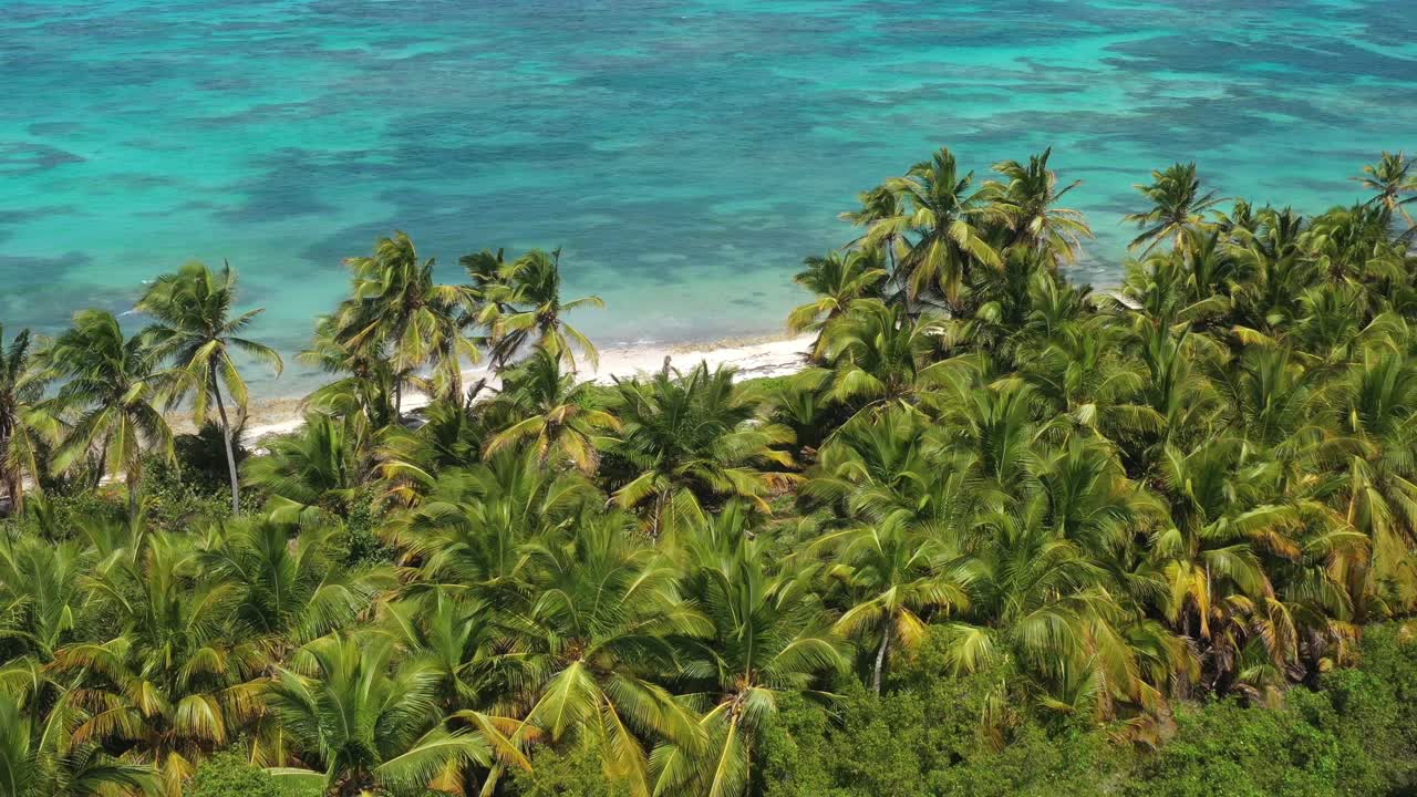 종려나무 와 색 물 이 있는 열대 해변 의 공중 풍경