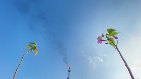 tiro de ángulo extremadamente bajo del tallo de las plantas en contraste con la industria de bengalas de gas en llamas