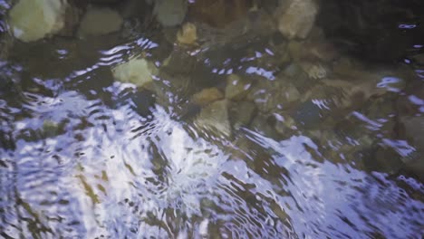 Flow-of-pure-and-clear-stream-water.-Slow-motion.