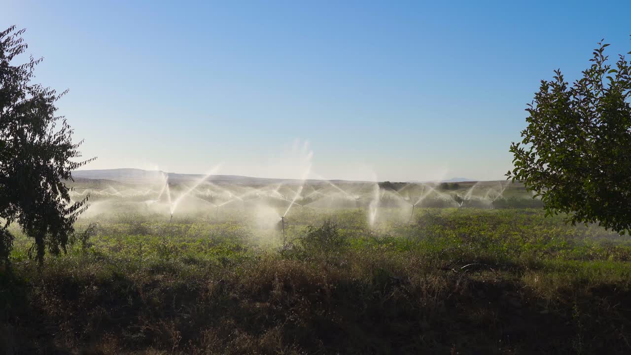 el riego de las plantas en las tierras agrícolas.