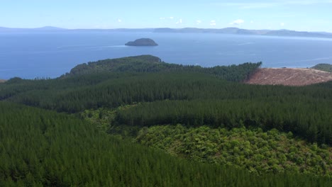 Aerial-view-of-dense-green-pine-forest-followed-by-a-serene-lake,-New-Zealand