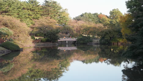 일본 도쿄의 신주쿠 교엔 국립공원과 정원 안에 있는 연못의 파노라마