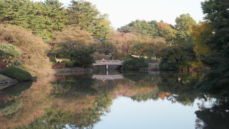 panorama of pond inside shinjuku gyoen national park and garden in tokyo, japan