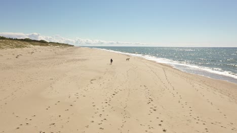 father is looking after his doughter with her dog on the beach