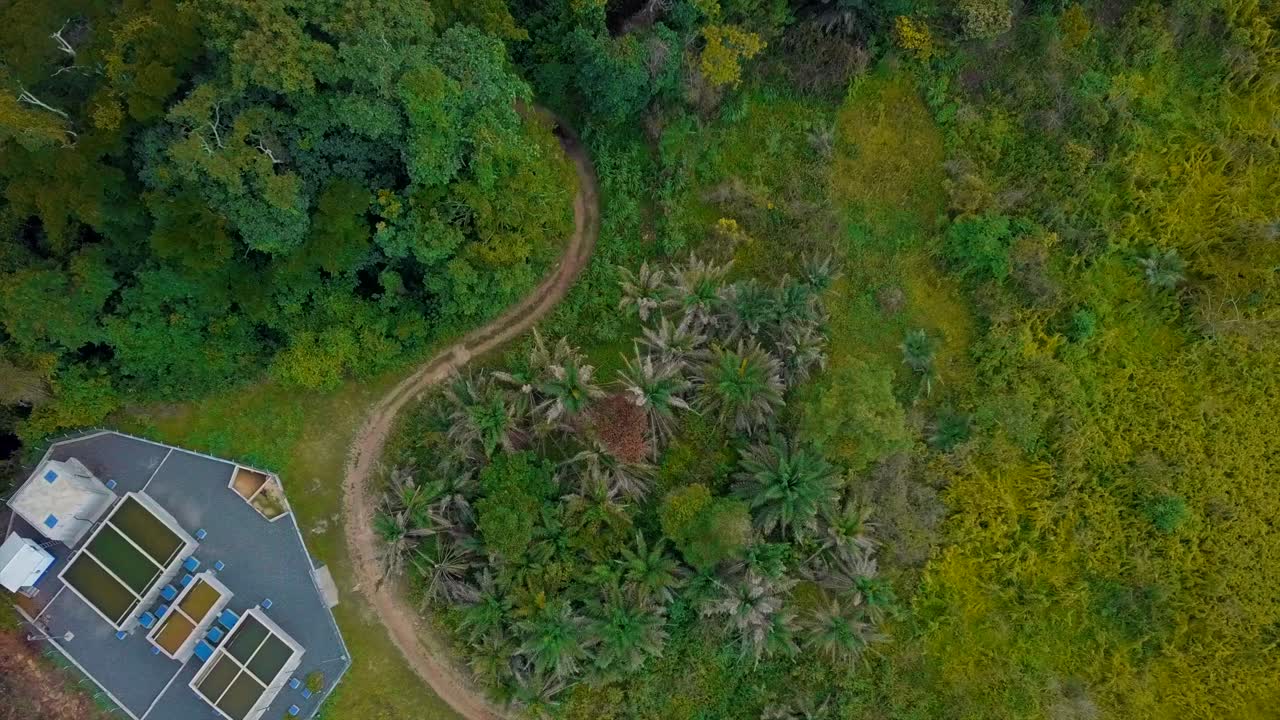 ariel vista de una casa en el bosque