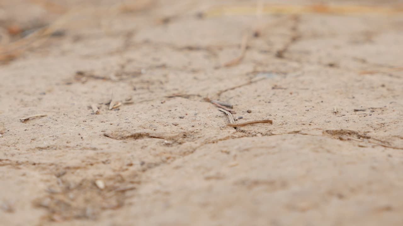 Dry and dusty country ground