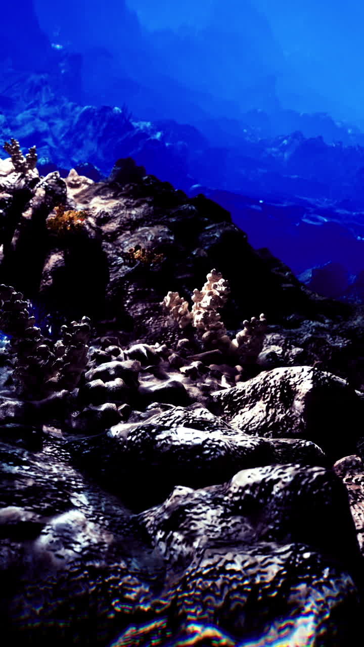 Underwater rock formations and colorful coral thriving in deep ocean