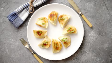 Fried-dumplings-with-meat