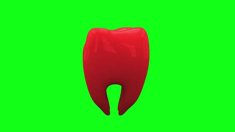 el bucle de dientes rojo gira en la pantalla verde