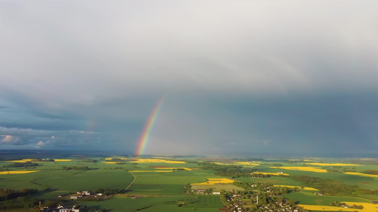 el arco iris sobre el campo de colza con canola floreciente, durante la primavera, vista aérea bajo nubes pesadas antes de la tormenta