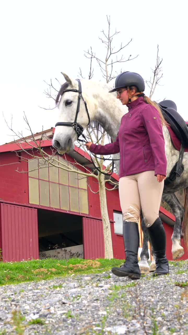 Equestrian with Horse