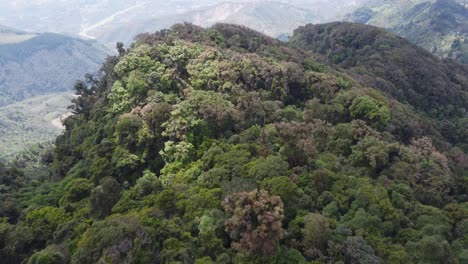 sobrevuelo de la cumbre: denso follaje verde exuberante de la jungla en montañas escarpadas