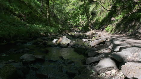 Wasser-Fließt-Stromabwärts-Unter-Holzbrücke-In-Gorpley-Clough-Woods,-In-West-Yorkshire