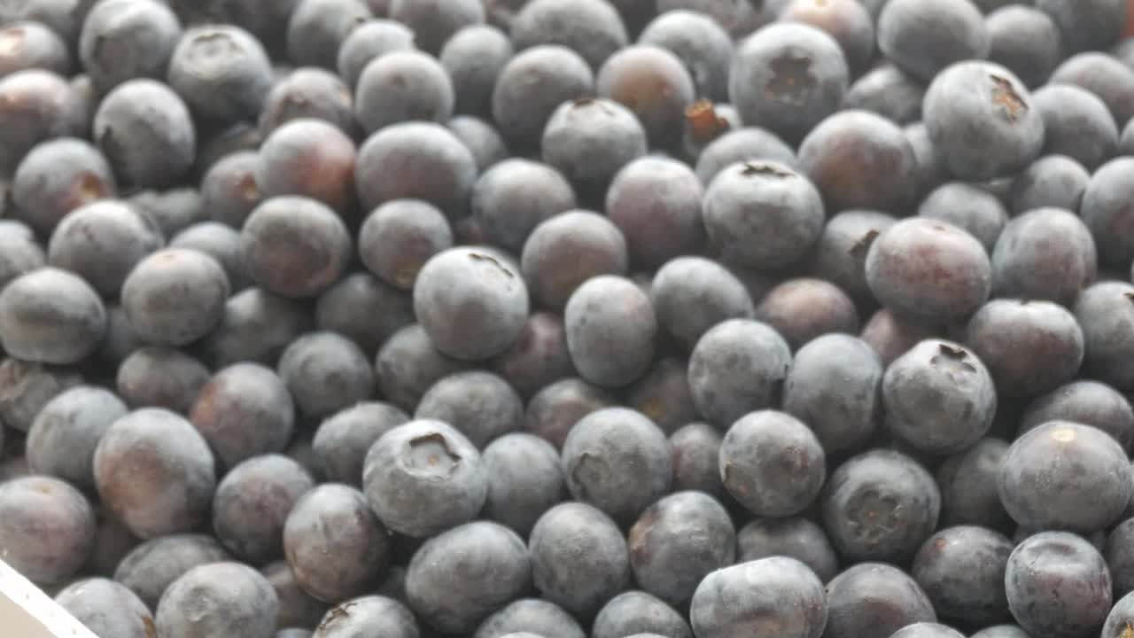 Fresh blueberries fill the frame, evoking health and freshness