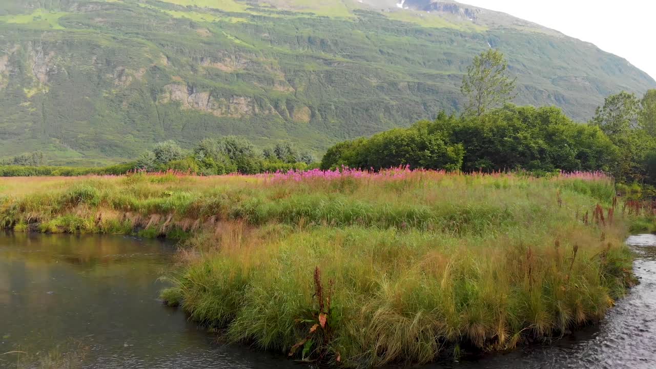 화창한 여름날 valdez ak에 있는 미네랄 크릭의 4k 드론 비디오