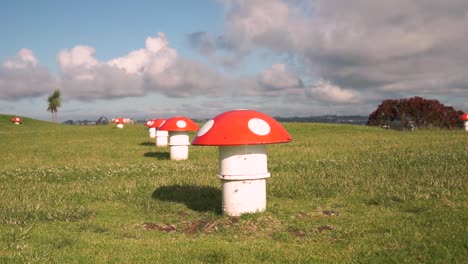 Toadstools-on-top-of-Mount-Victoria,-Auckland,-New-Zealand