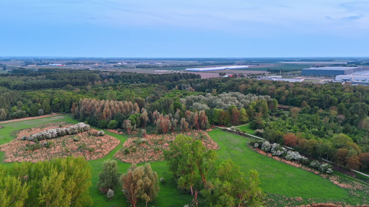 Green fields in Dutch countryside. A vibrant view of green fields and trees in the Netherlands during a clear evening, showcasing nature's beauty