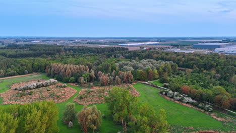green fields in dutch countryside. a vibrant view of green fields and trees in the netherlands during a clear evening, showcasing nature's beauty