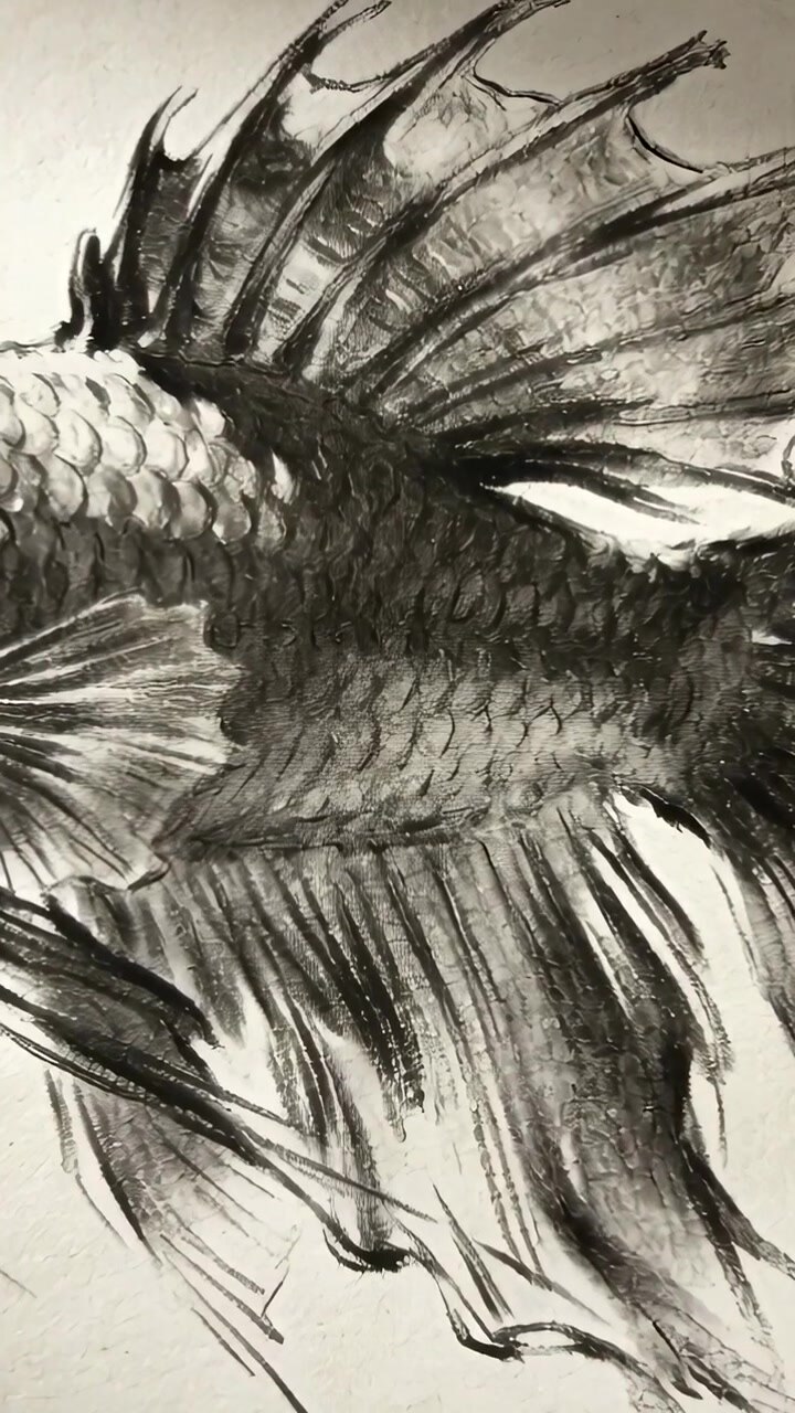 Video verticale: Telecamera che scorre su un disegno di pesce a carboncino su carta, per rivelare tratti sfumati e delicati.