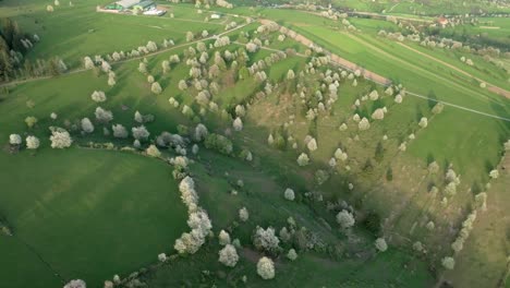 aerial drone footage of lush green hills near hrinova, central slovakia