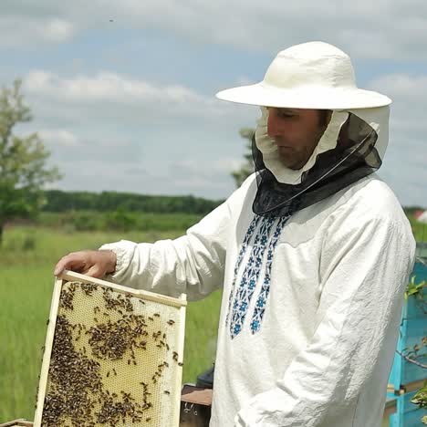 un apicultor en un apiario entre colmenas